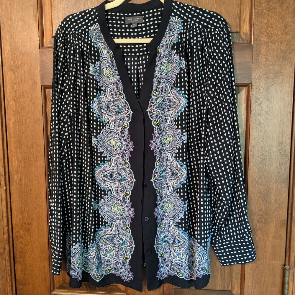 The Limited blouse
